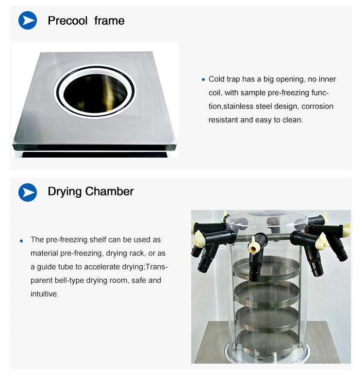 freeze dryer price