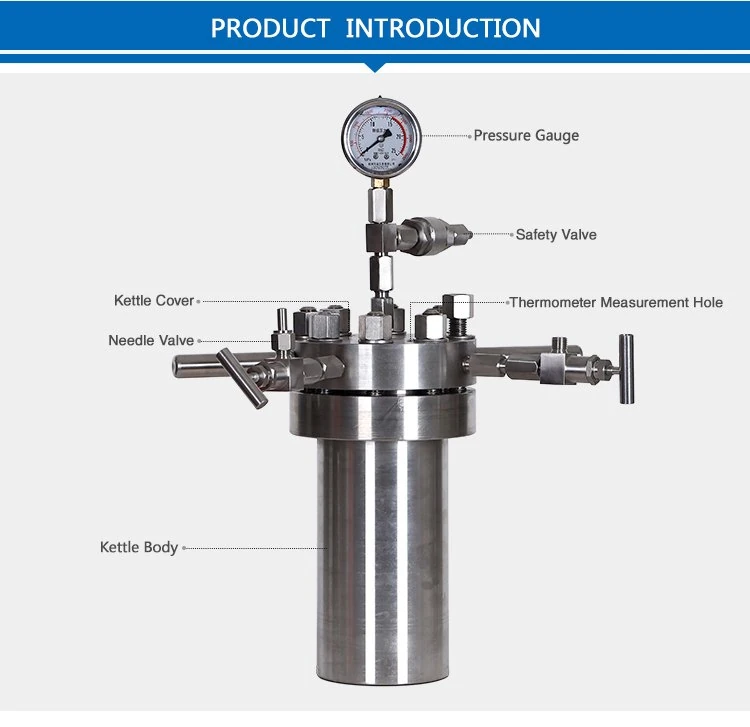 Small simple high pressure reactor system autoclave