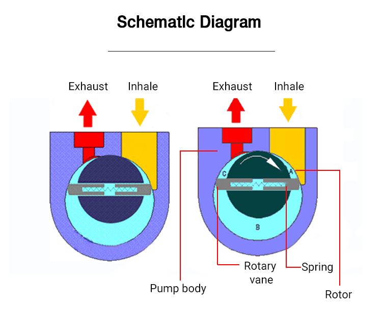 rotary vane vacuum pump advantages and disadvantages