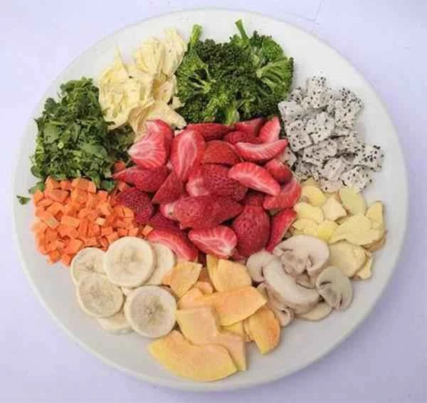 freeze dryer vs dehydrator