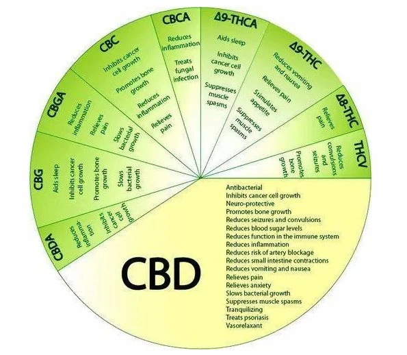 cannabis distillation equipment