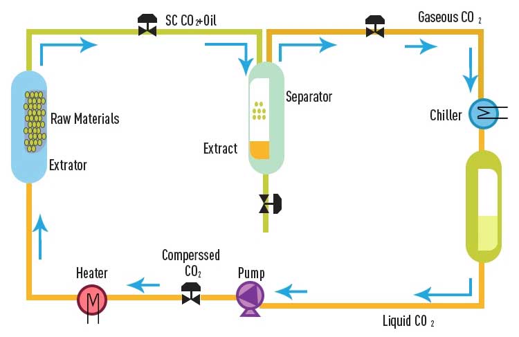 SFE co2 extraction system