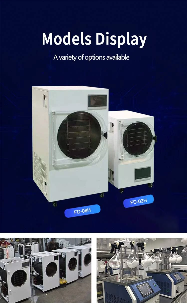 lab freeze dryer