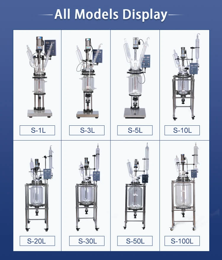 Borosilicate Glass Reactor Model