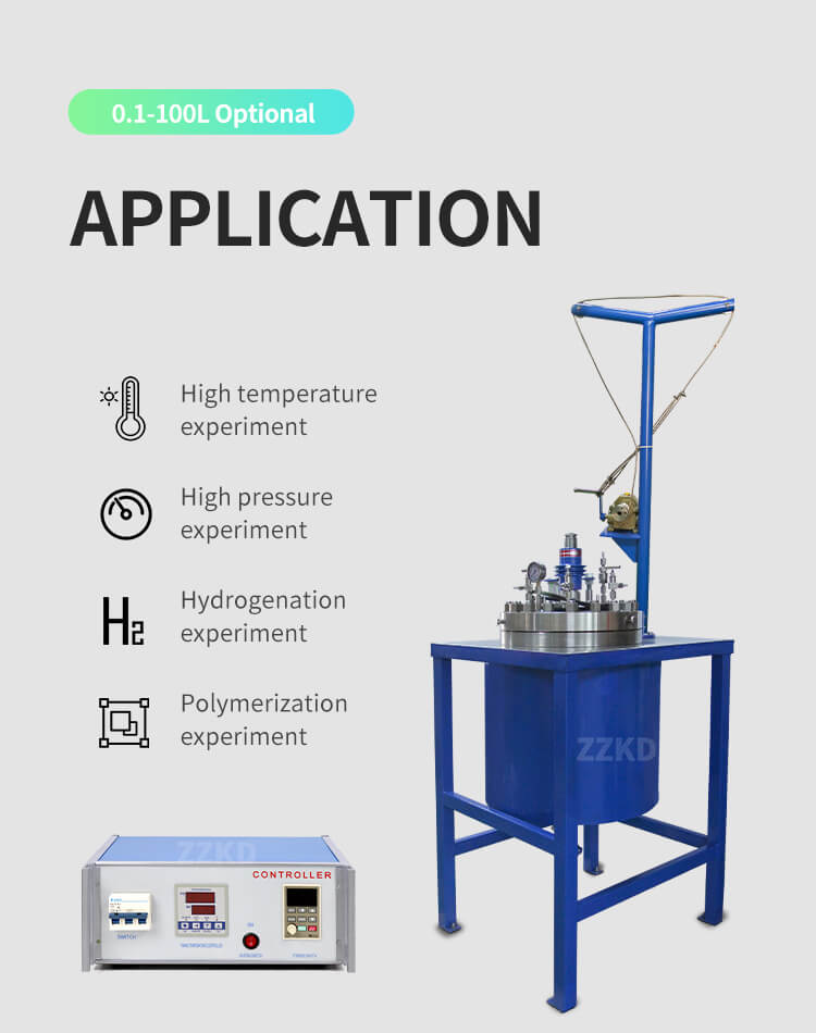 High-Pressure Hydrogenation Reactor 