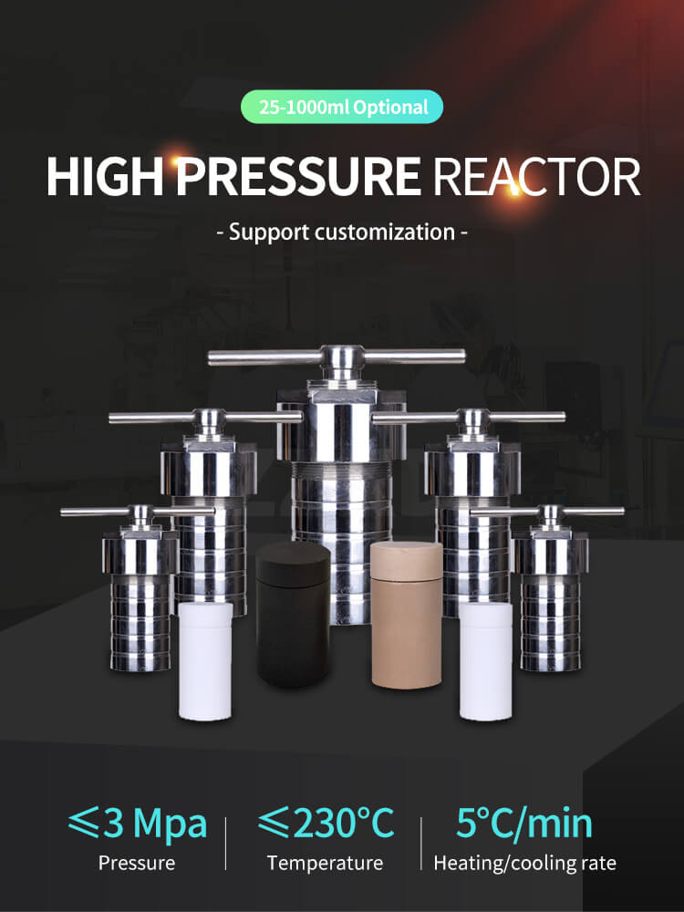 High Pressure Teflon Reactor