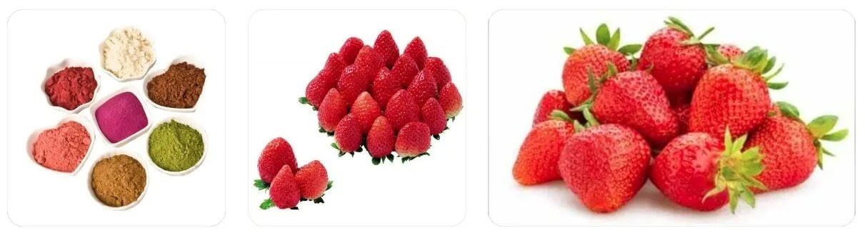 Process of Spray Drying Strawberries